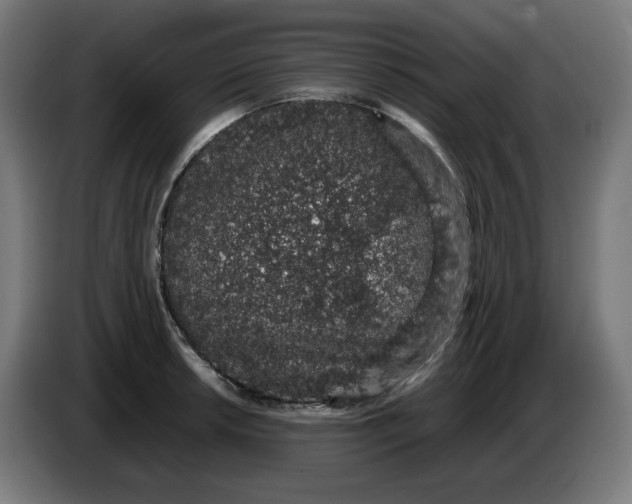 X0000086241042200704191817