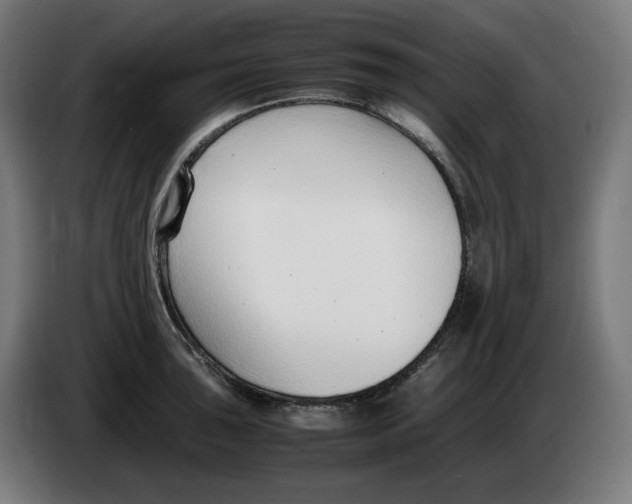 X0000086241043200704191817