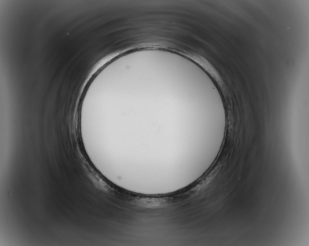 X0000086241044200704191817