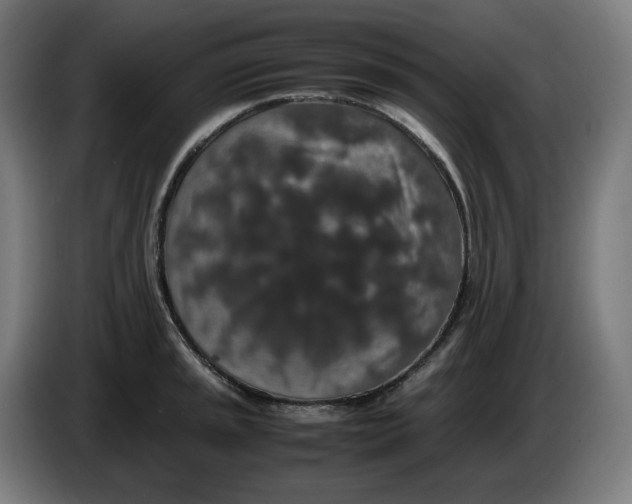 X0000086241045200704191817