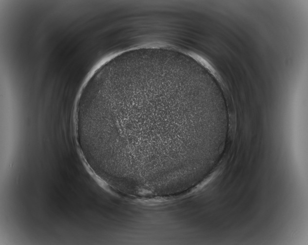 X0000086241046200704191817
