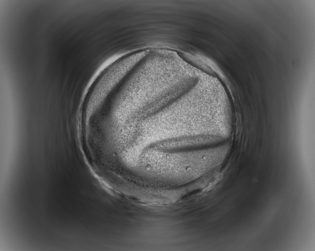 X0000086241048200704191817