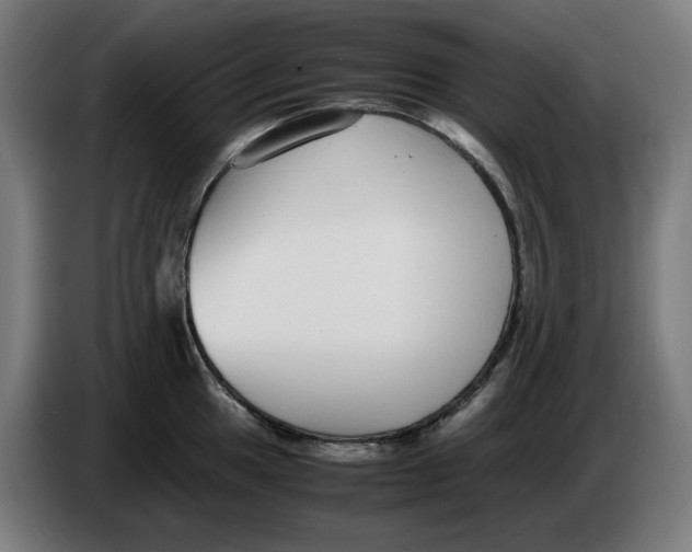 X0000086241049200704191817