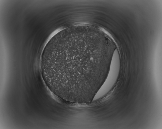 X0000086241050200704191817