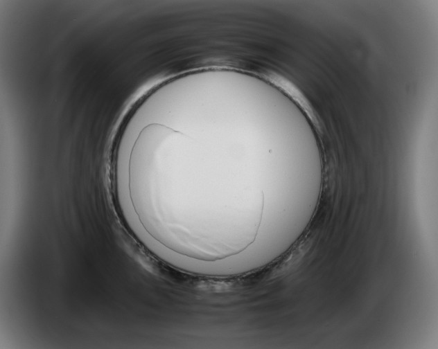 X0000086241051200704191817