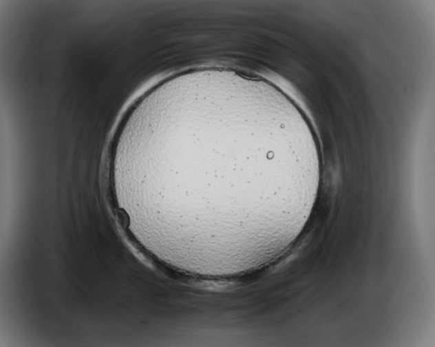 X0000086241053200704191817