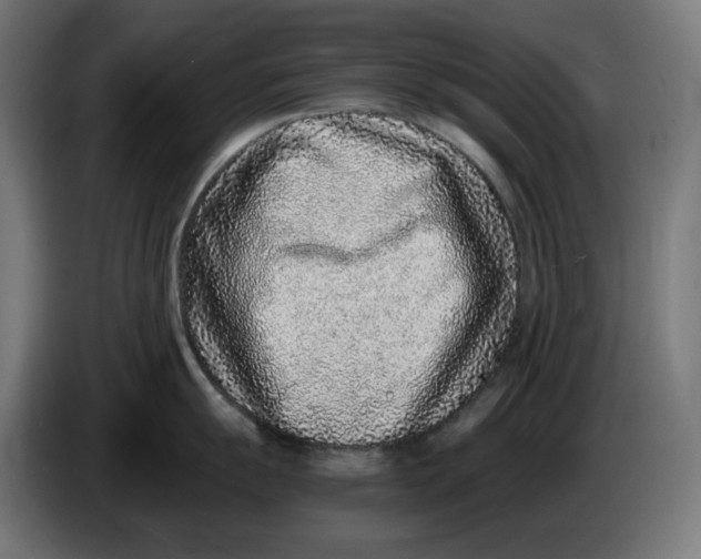 X0000086241055200704191817