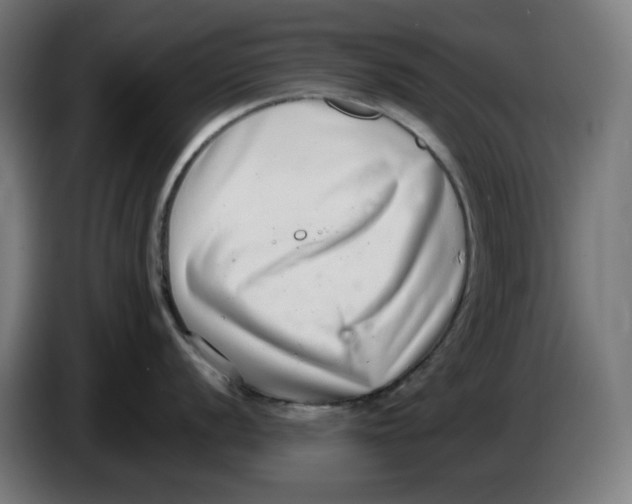 X0000086241056200704191817