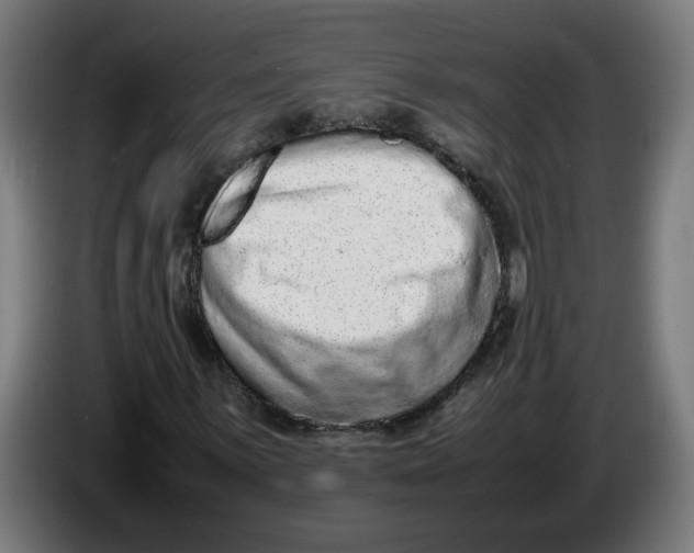 X0000086241059200704191816