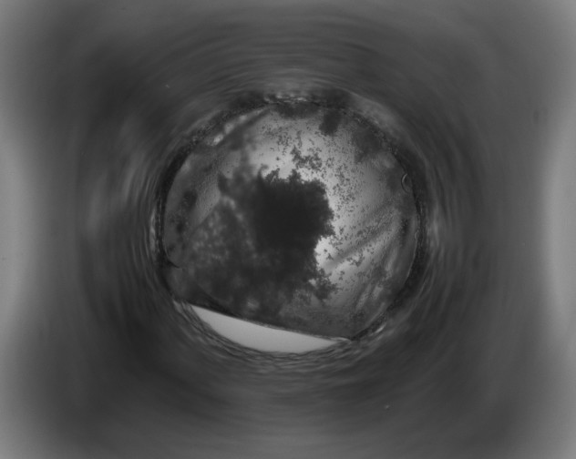 X0000086241060200704191816