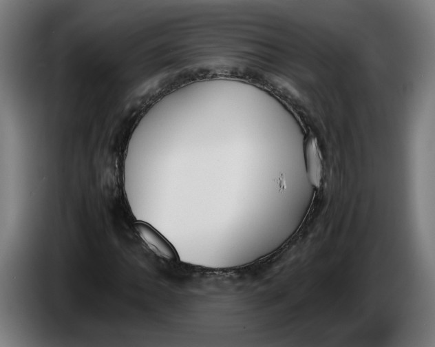 X0000086241062200704191816