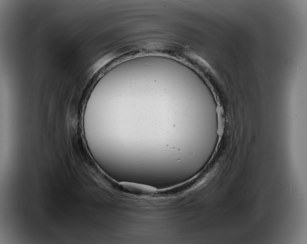 X0000086241065200704191816