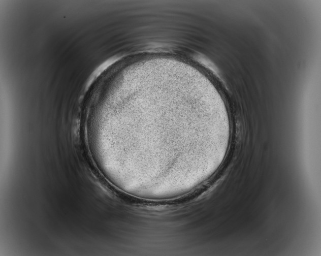 X0000086241066200704191816