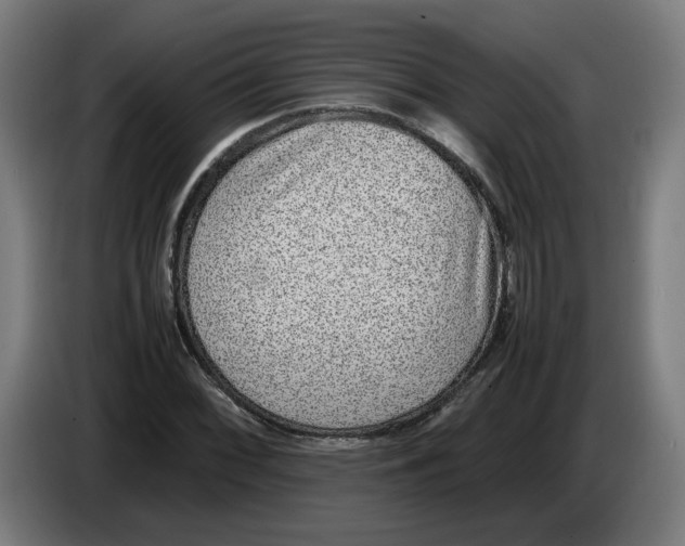 X0000086241068200704191816