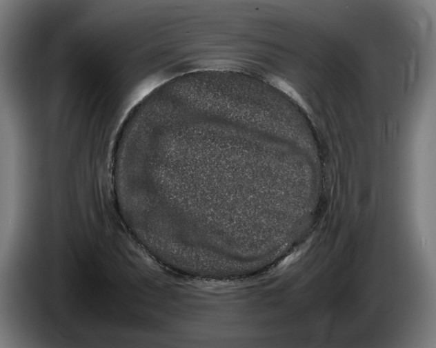 X0000086241071200704191816