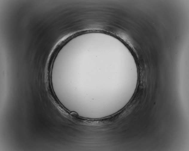 X0000086241072200704191816