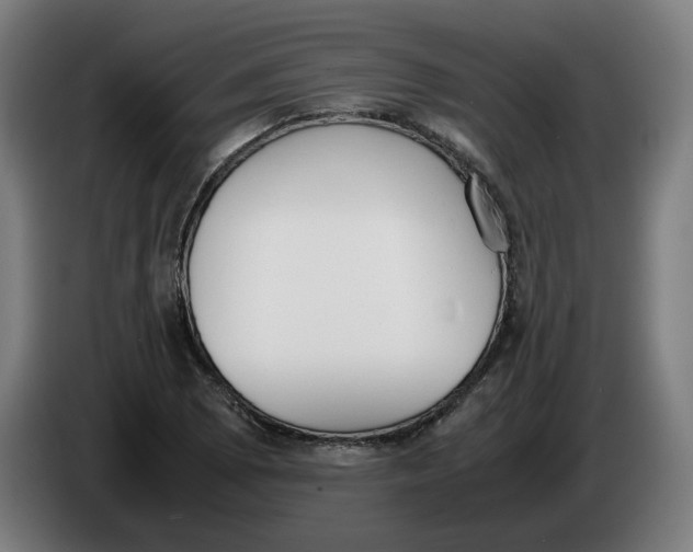 X0000086241073200704191816