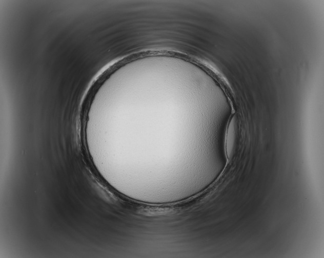 X0000086241076200704191816