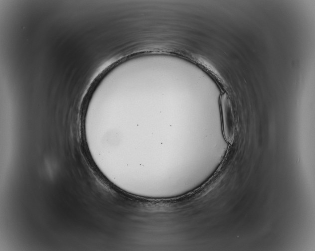 X0000086241079200704191816