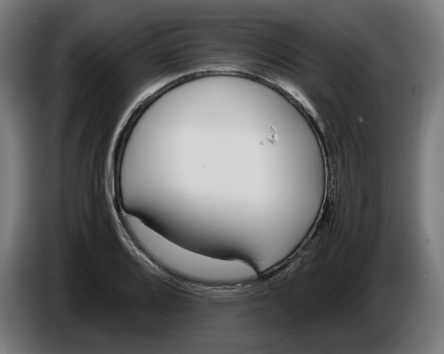X0000086241080200704191816