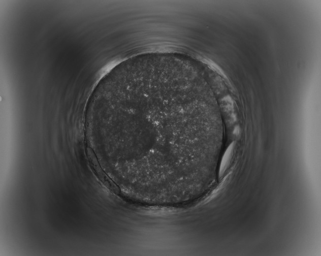 X0000086241081200704191816