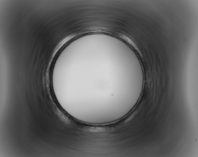 X0000086241082200704191816