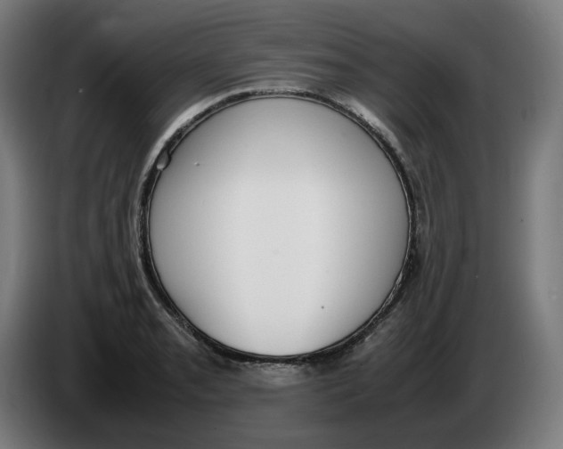 X0000086241085200704191816