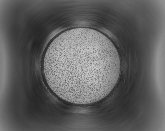 X0000086241086200704191816