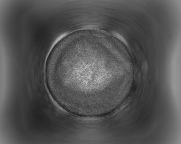 X0000086241087200704191816