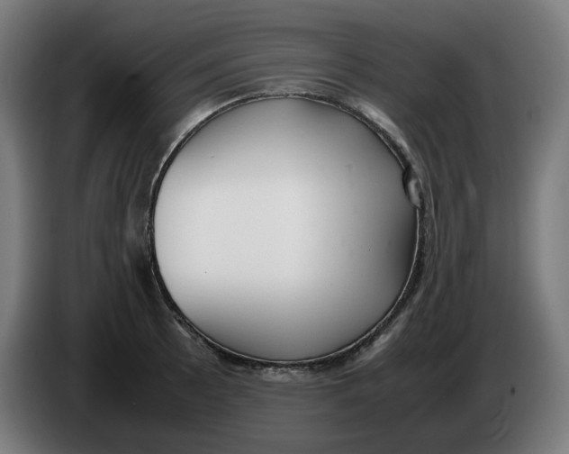 X0000086241089200704191816