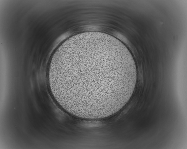 X0000086241090200704191816