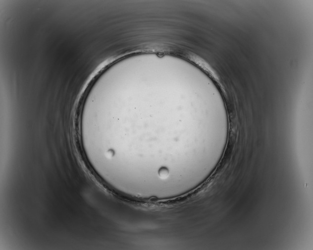 X0000086241091200704191816