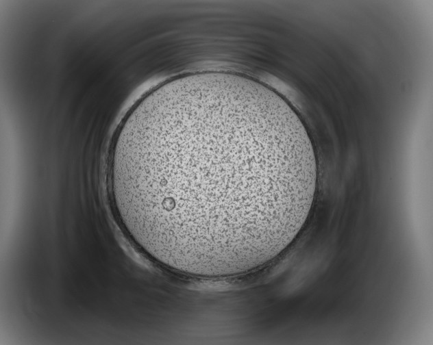 X0000086241094200704191816