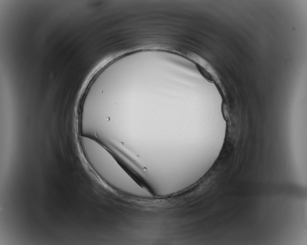 X0000086241096200704191816