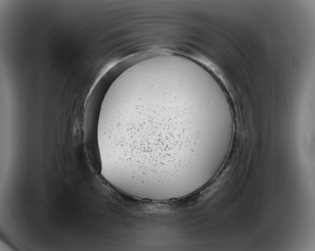 X0000086241097200704191816