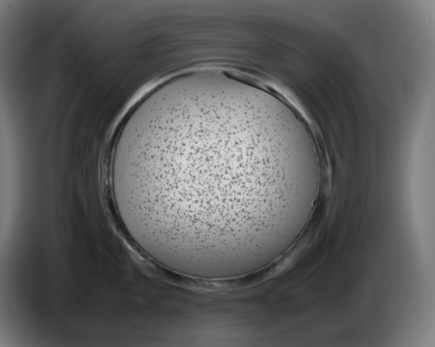 X0000086241101200704191816