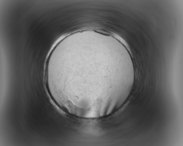 X0000086241103200704191816