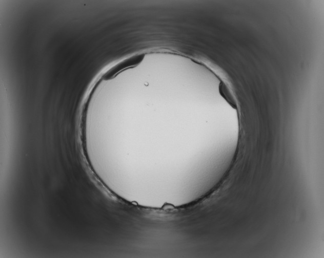 X0000086241104200704191816