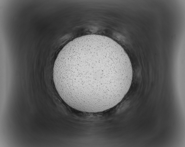 X0000086241105200704191815