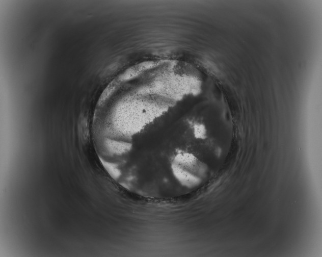 X0000086241106200704191815