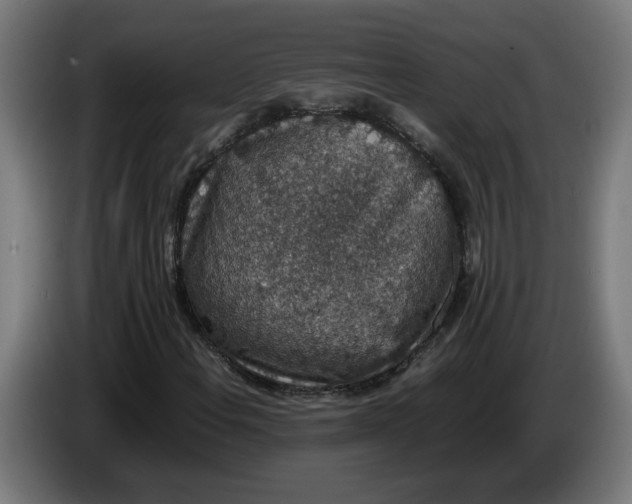 X0000086241108200704191815