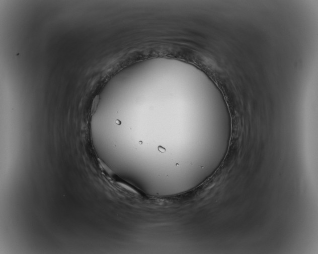 X0000086241109200704191815