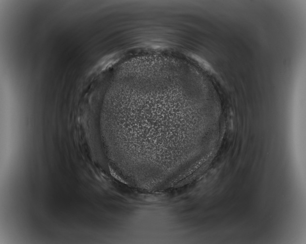 X0000086241110200704191815