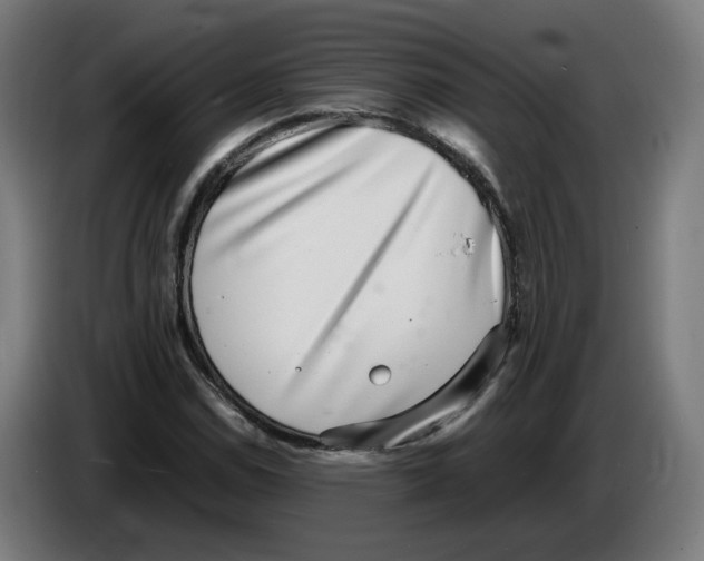 X0000086241114200704191815