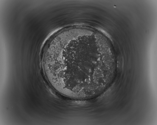 X0000086241117200704191815