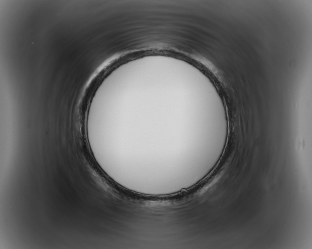 X0000086241118200704191815