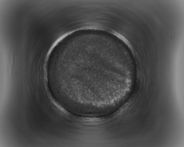 X0000086241120200704191815