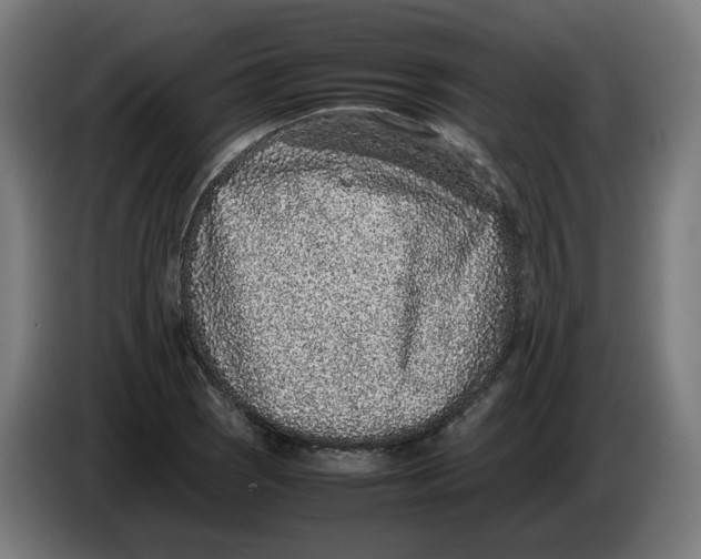 X0000086241121200704191815