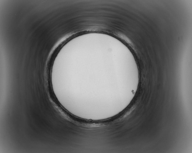 X0000086241122200704191815