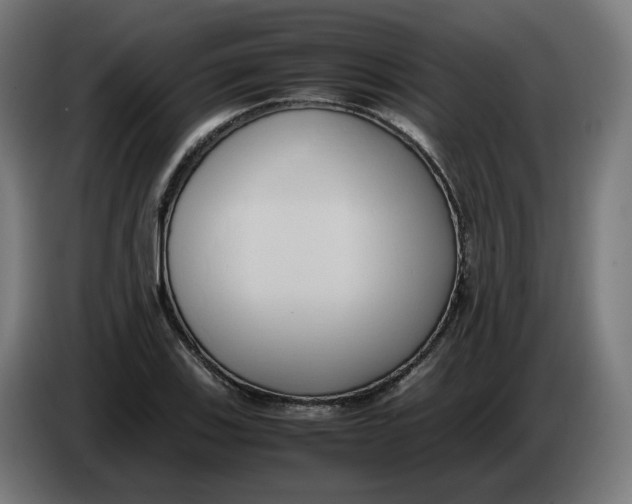 X0000086241123200704191815